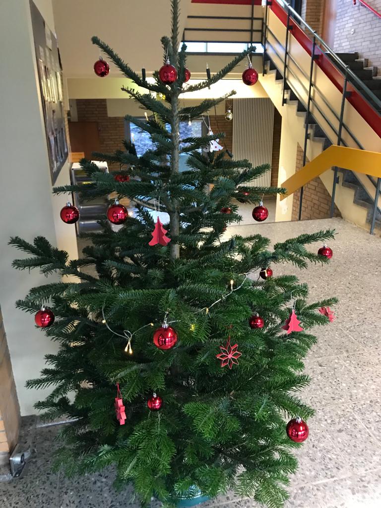 WhatsApp Image 2020 12 19 at 113631