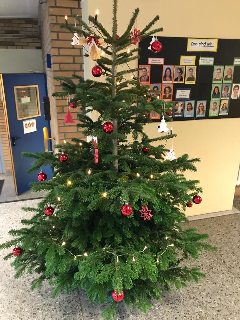 WhatsApp Image 2020 12 19 at 113631 4